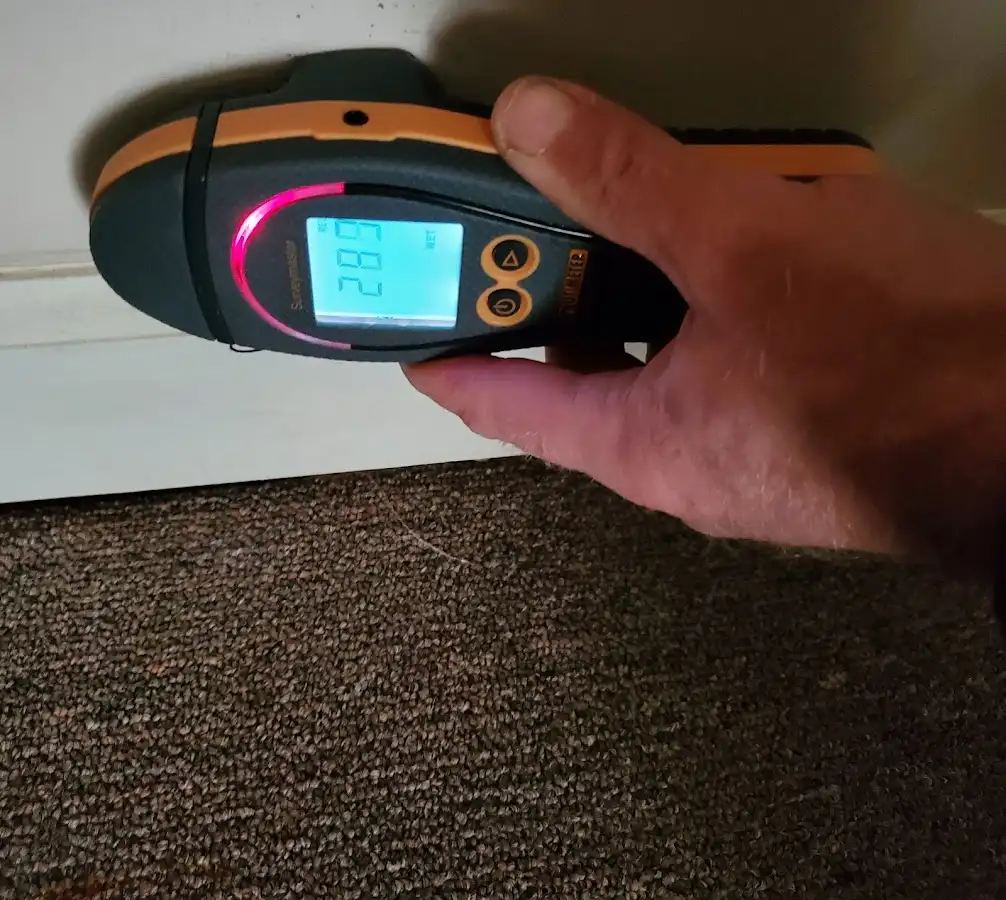 Moisture detection at baseboard during Sewage Cleanup & Sanitation in Asheboro